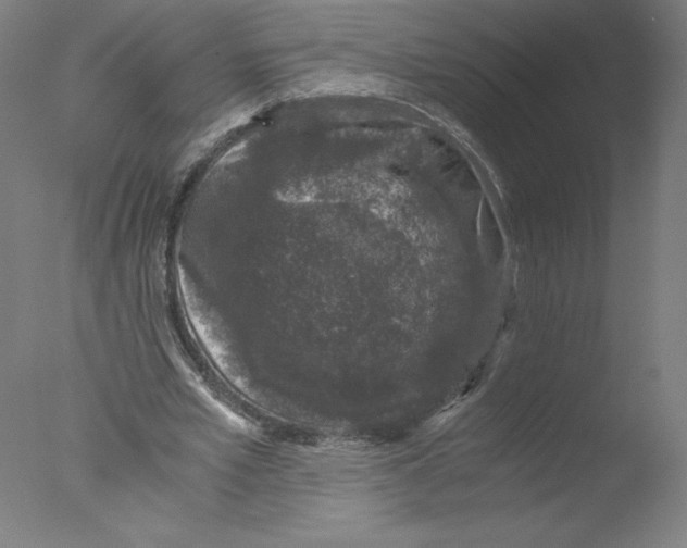 X0000076070581200610202016