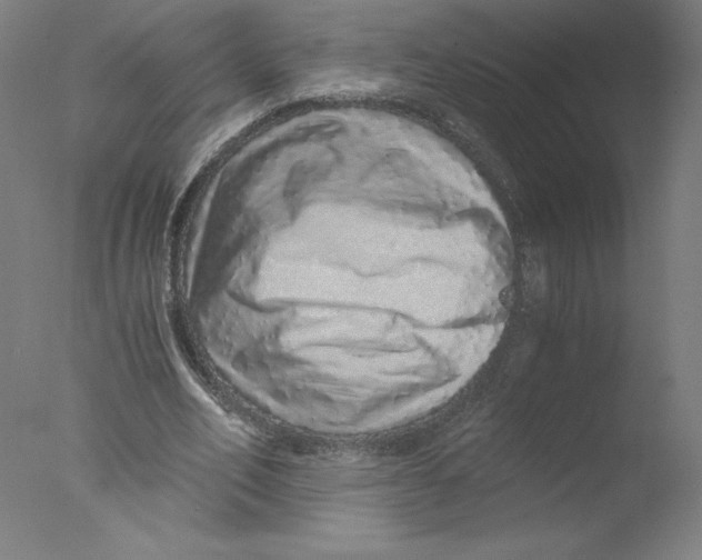 X0000076070582200610202016