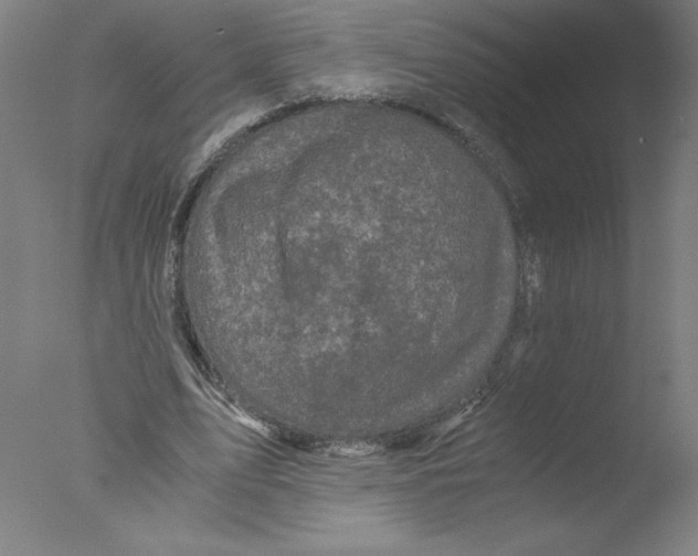 X0000076070583200610202016