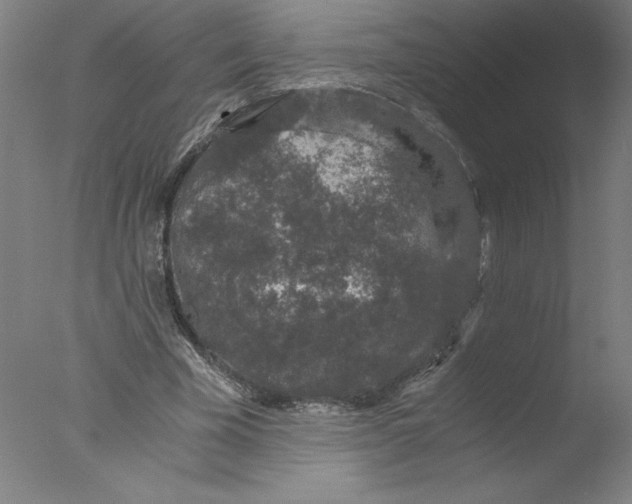 X0000076070585200610202016