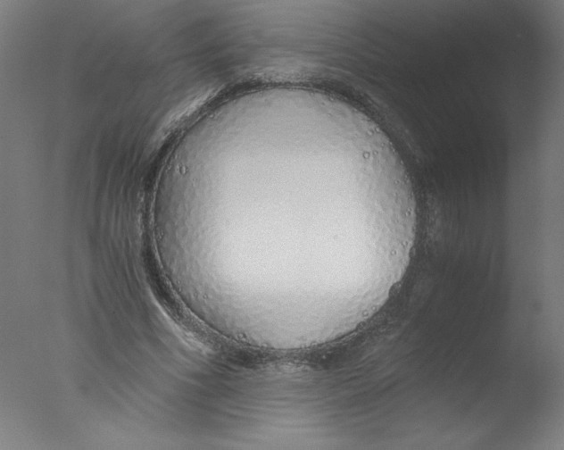 X0000076070586200610202016