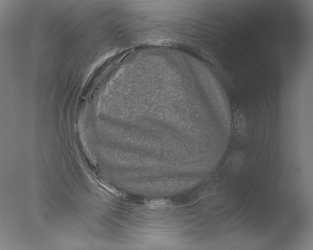 X0000076070587200610202016