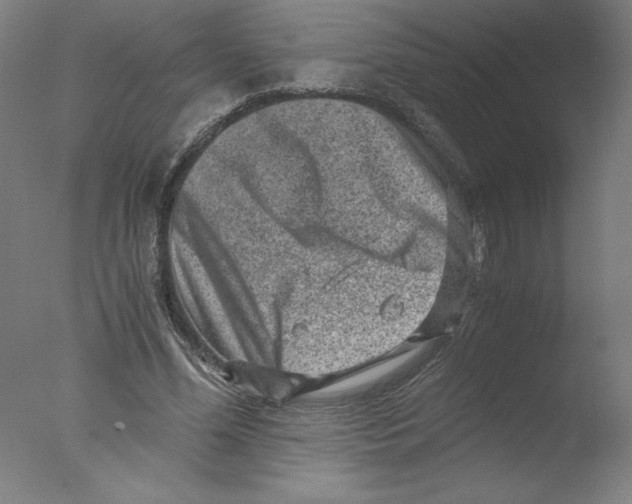 X0000076070588200610202016