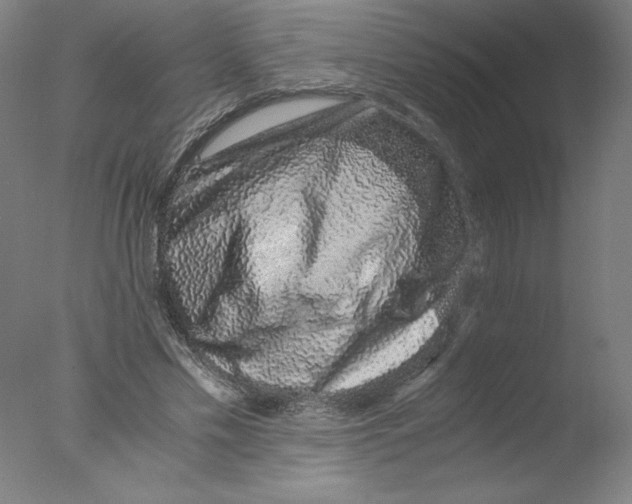 X0000076070589200610202016