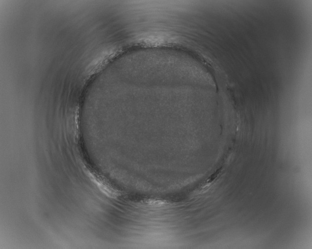 X0000076070590200610202016