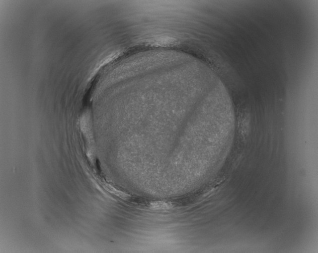 X0000076070591200610202016