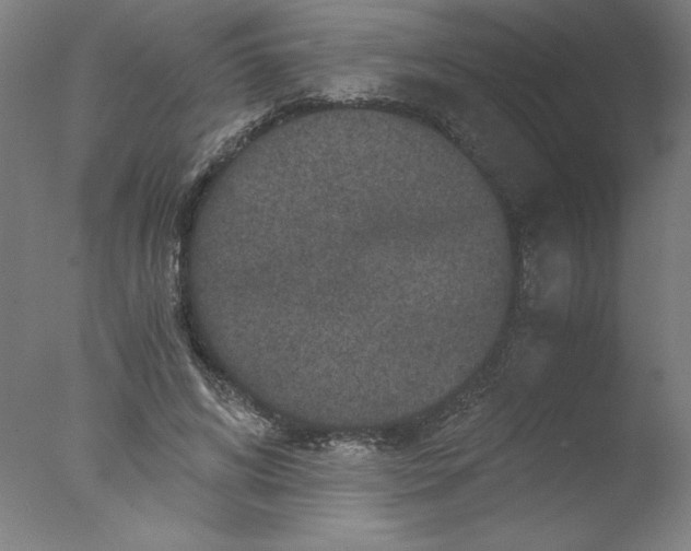 X0000076070592200610202016