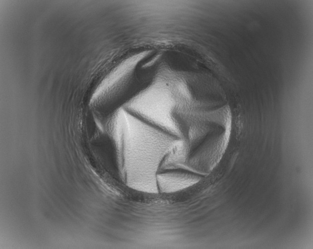 X0000076070593200610202016