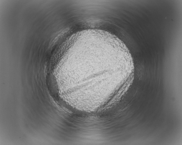 X0000076070594200610202016