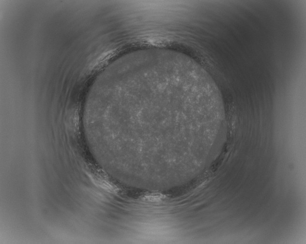 X0000076070595200610202016