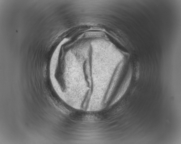 X0000076070596200610202016