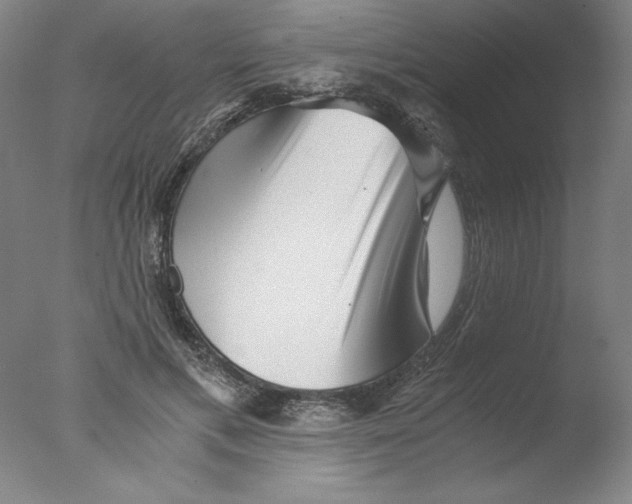 X0000076070597200610202016