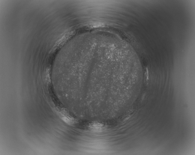 X0000076070598200610202016