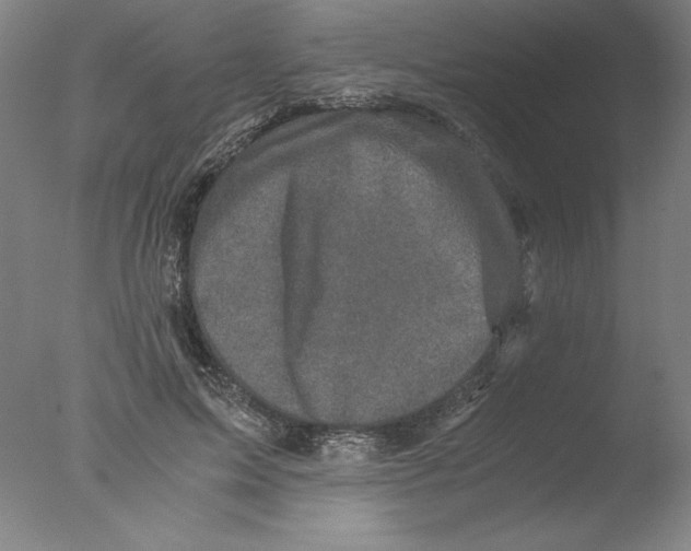 X0000076070599200610202016