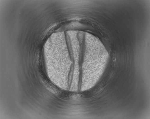 X0000076070600200610202016