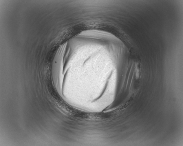 X0000076070601200610202016