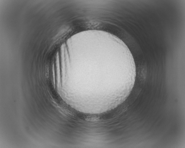 X0000076070602200610202016