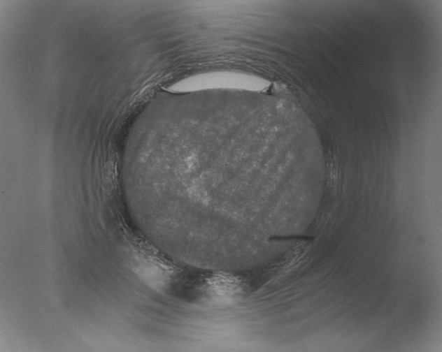 X0000076070603200610202016