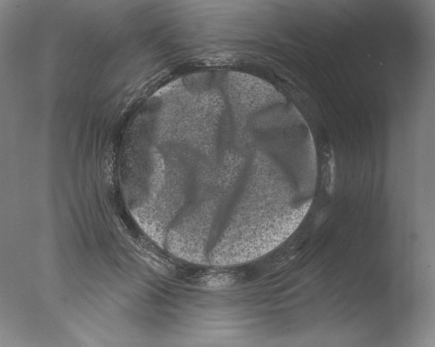 X0000076070604200610202016