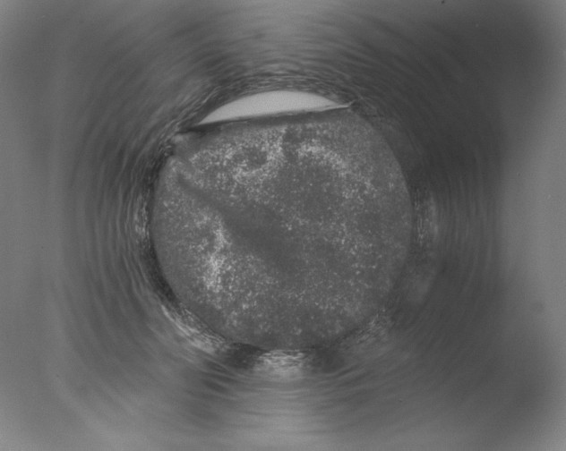 X0000076070606200610202016