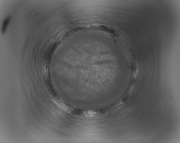 X0000076070607200610202016