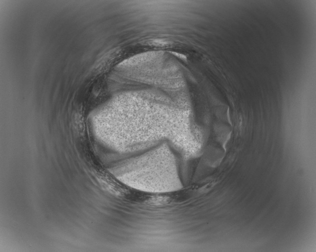 X0000076070609200610202016