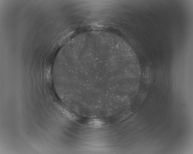 X0000076070610200610202016