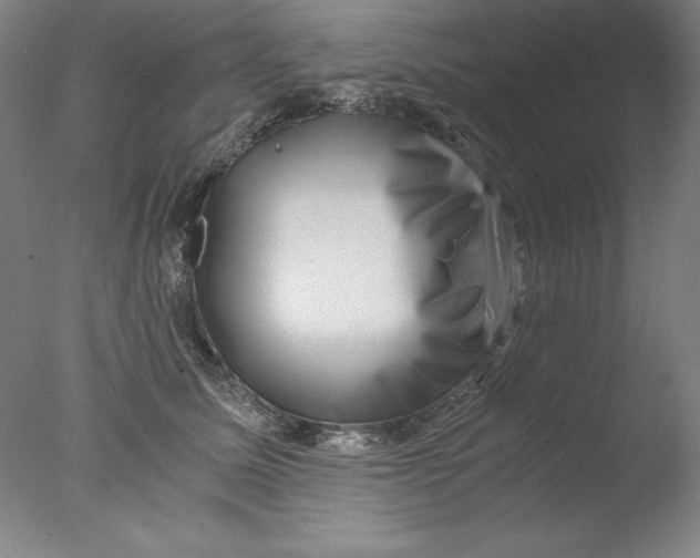 X0000076070611200610202016