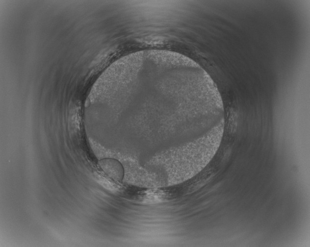 X0000076070612200610202016