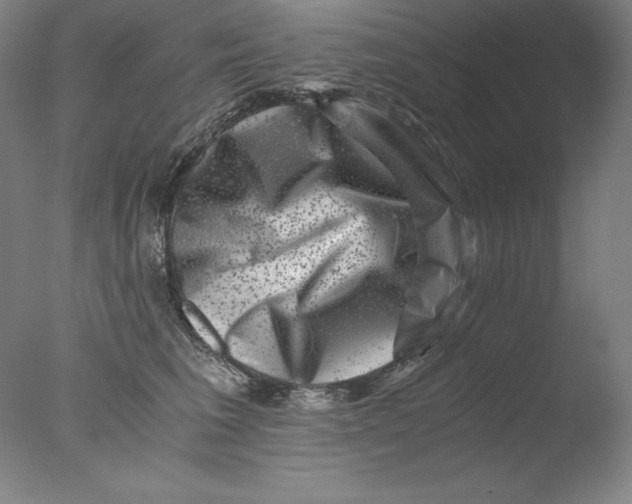 X0000076070613200610202016