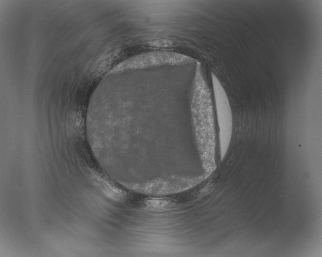 X0000076070614200610202016