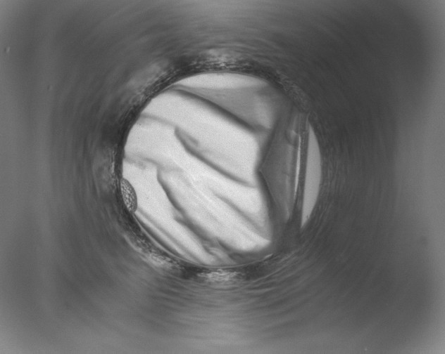 X0000076070615200610202016