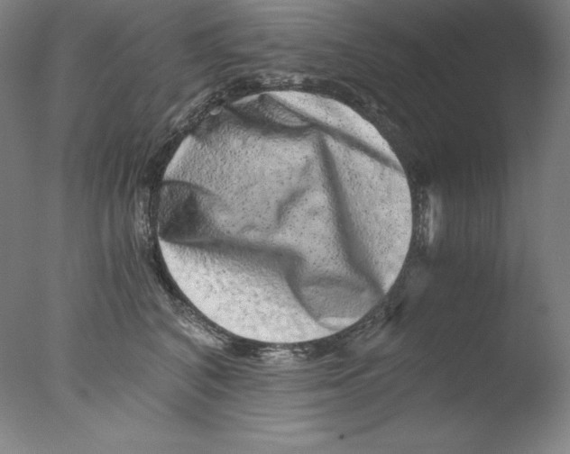 X0000076070616200610202016