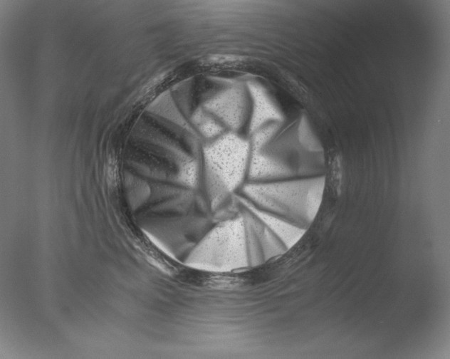 X0000076070617200610202016