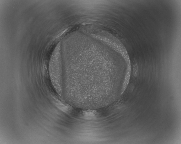 X0000076070618200610202016