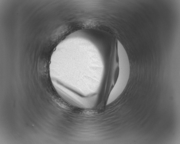 X0000076070619200610202016