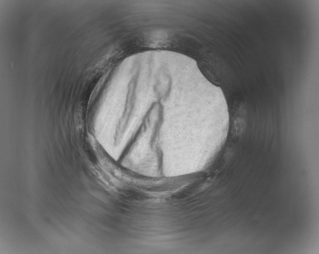 X0000076070620200610202016