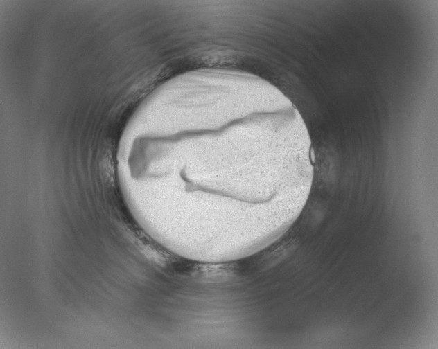 X0000076070622200610202016