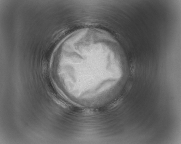 X0000076070623200610202016