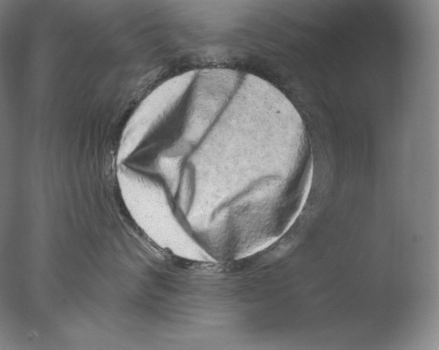 X0000076070624200610202016