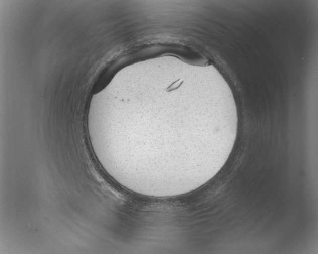 X0000076070625200610202015