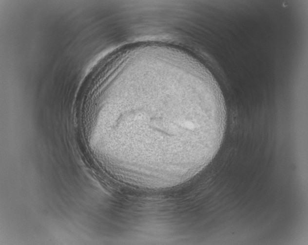 X0000076070628200610202015