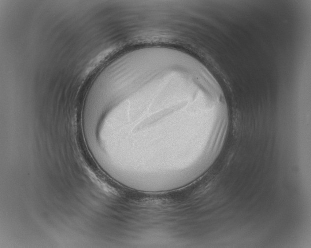 X0000076070629200610202015