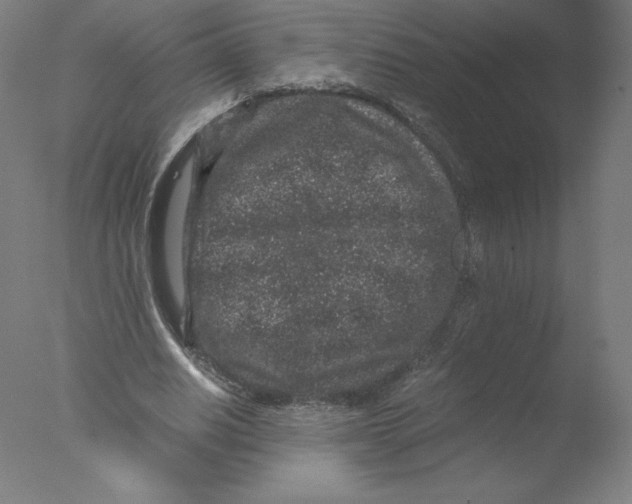 X0000076070630200610202015