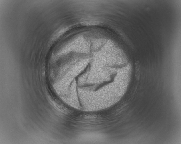 X0000076070631200610202015