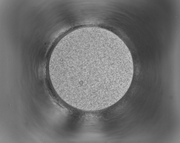 X0000076070632200610202015