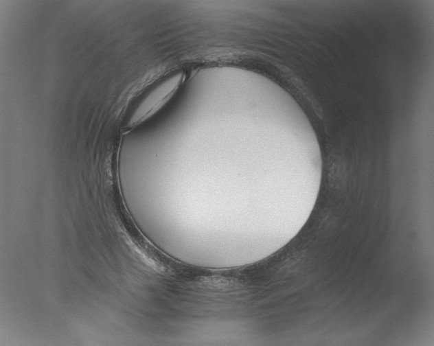 X0000076070633200610202015