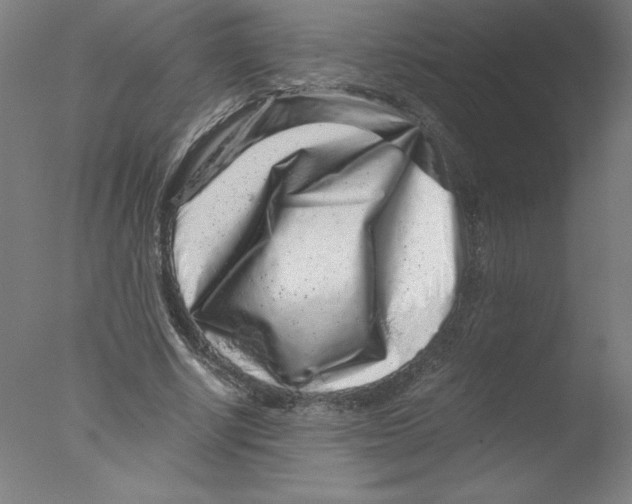 X0000076070634200610202015