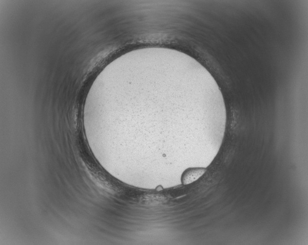 X0000076070636200610202015