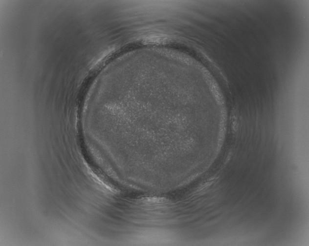 X0000076070637200610202015